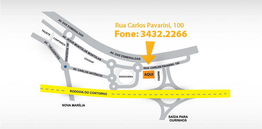 Rua Carlos Pavarini, nº 100